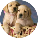 Ana 54 profile picture